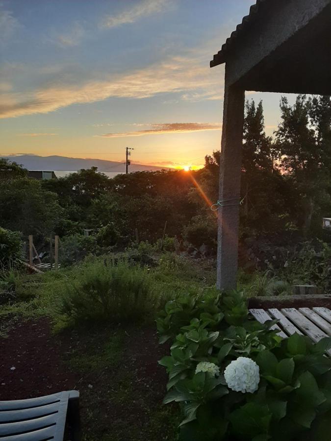 Adega Do Gato Hotell Calhau Exteriör bild